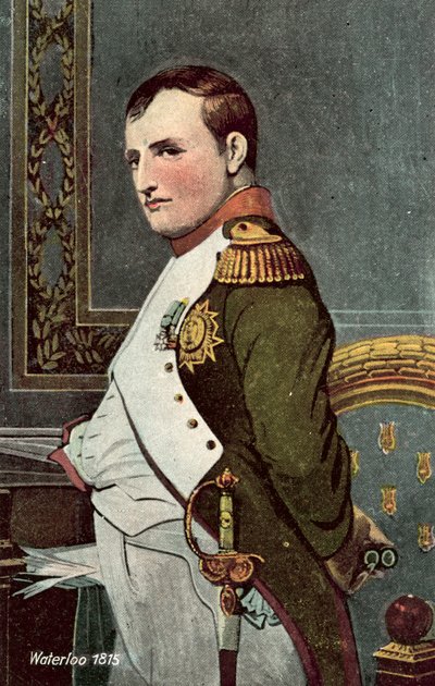 Waterloo 1815, Napoleon door European School